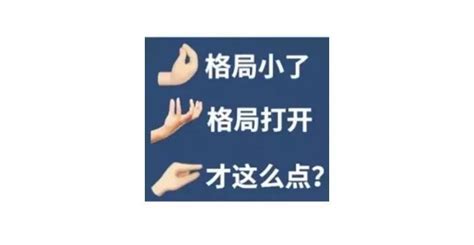 格局打開梗圖|格局打开是什么意思网络用语（附表情包）